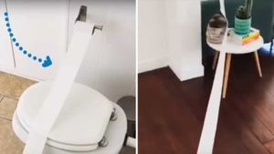 Туалетная бумага и собака