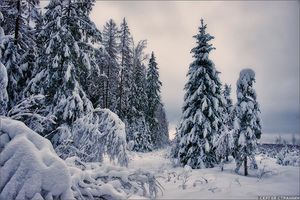 Искусство русской зимы