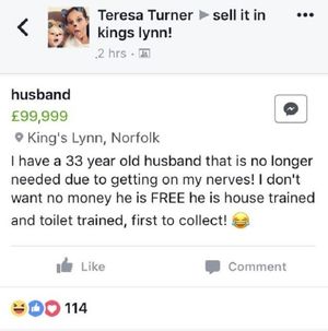 Женщина дала объявление в итернете: «Продается муж! Недорого. Почти даром!»