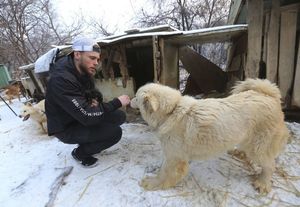 Американский фристайлист спас 90 собак от съедения в Южной Корее