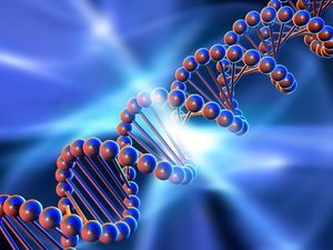 В ДНК обнаружен квантовый таймер мутаций