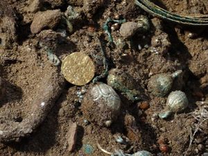 В Польше нашли большой клад золотых монет
