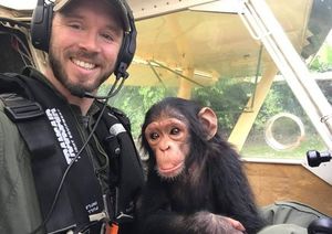 Учимся летать: трогательные кадры полета детеныша шимпанзе в реабилитационный центр
