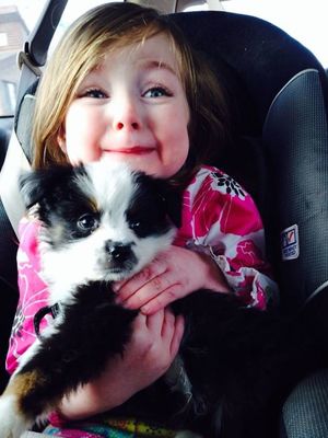 Счастье есть! 20 убедительных доводов, что ребенку просто необходима собака!