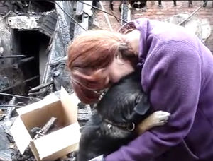 Она говорила своей собаке, что их дом полностью сгорел. Реакция песика невероятно трогательная