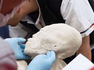 В Перу найдены скелеты пришельцев
