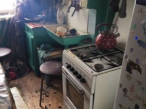 Трагедия в Ногинске: Шесть трупов пролежали в квартире три дня
