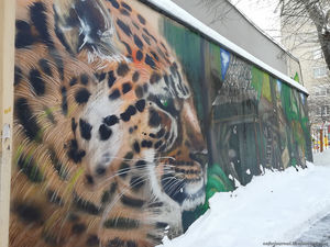 Случайные граффити Москвы