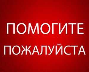 Нужен дом, где он останется любимцем и никогда не будет предан.