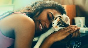 Без кота и жизнь не та: учёные считают, что кошки негативно влияют на здоровье детей