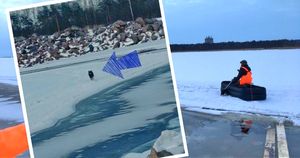 В Финском заливе пёс оказался на льдине… Чтобы спасти его, смелая девушка вооружилась матрасом-кроватью и лопатой!