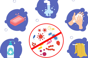 Сколько живут микробы вокруг нас и как защитить себя