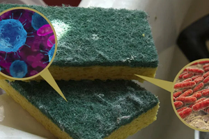 5 бытовых предметов, на которых скапливается больше всего бактерий