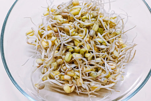 Как прорастить семена дома: простой способ добавить в рацион живую пользу