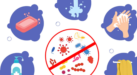 Сколько живут микробы вокруг нас и как защитить себя