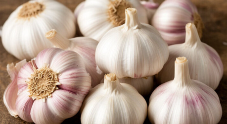 Чеснок: польза и вред для сердца и здоровья в целом