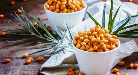 Облепиха: польза и вред для организма