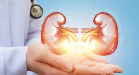 Как сохранить здоровье почек