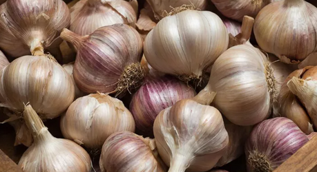 Чеснок: простой продукт с мощным эффектом для здоровья сердца