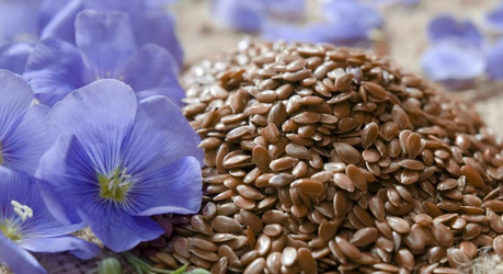 Льняное семя и давление: что говорит наука о простом суперфуде
