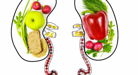 3 простых напитка для поддержки почек: как мягко помочь организму