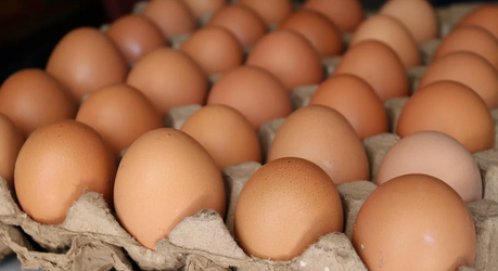 Почему в США яйца продают в холодильнике, а в Европе — на обычных полках