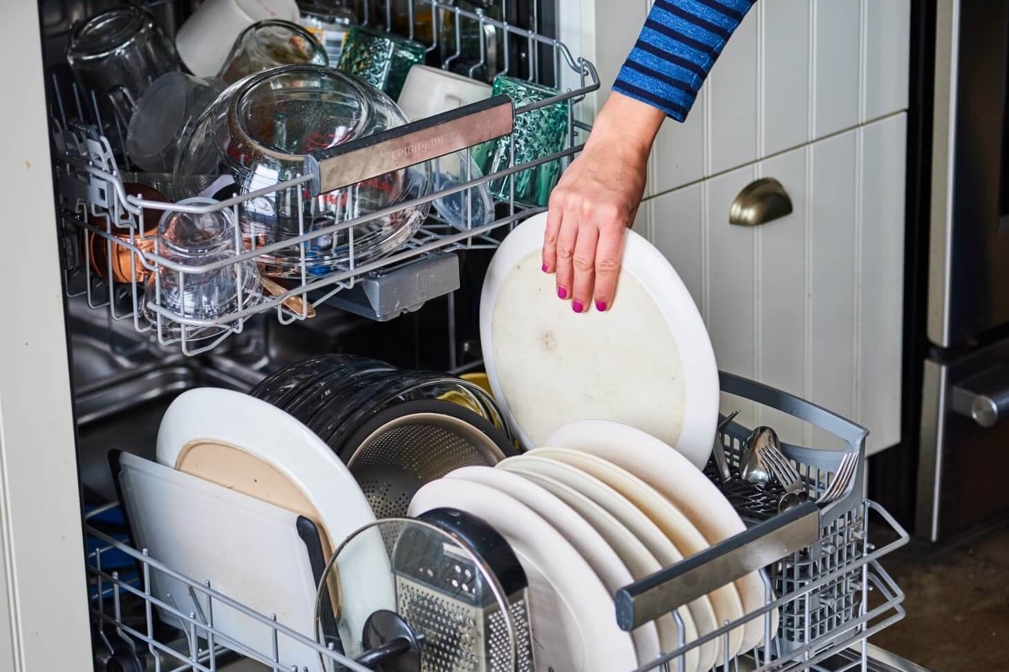 Dicks in the dishwasher onlyfans