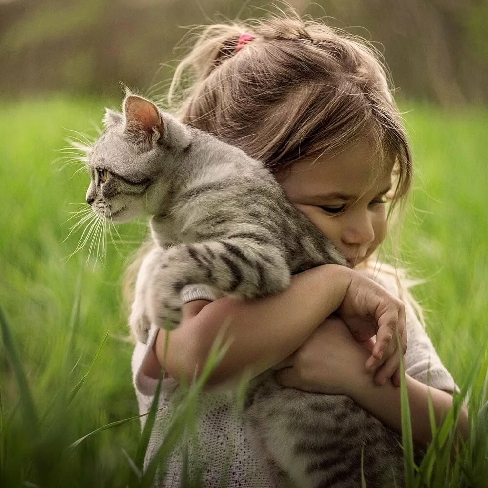 Обнимать кошку. Девочка с котом. Девочка с котятами. Фотосессия с кошкой. Девушка с котенком.