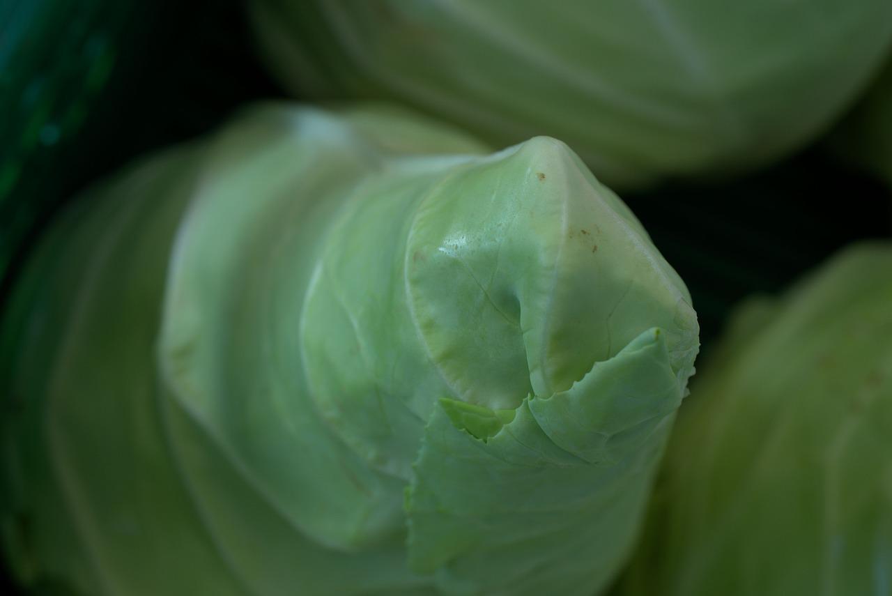 фото зеленой капусты