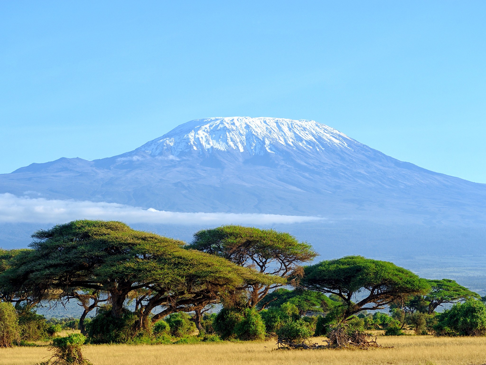 Занзибар гора Килиманджаро