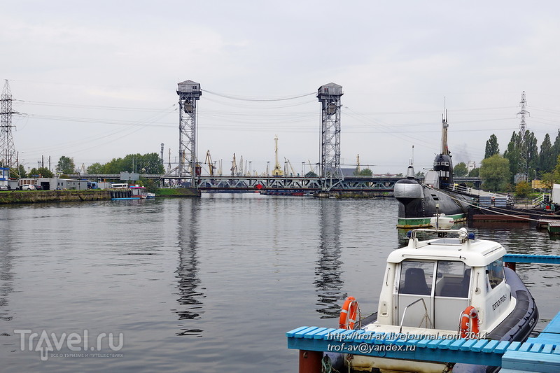 Музей мирового океана в калининграде фото внутри