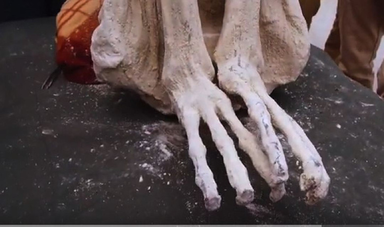 В Перу нашли странную мумию похожую на инопланетное существо